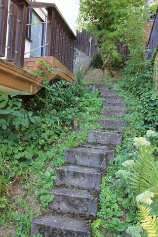Hangsicherung Bild 1 - (Garten, Bau, Hangsicherung)