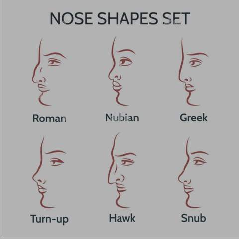 Welche Nasenform findet ihr bei Männern am schönsten (Jeder kann mitmachen)?