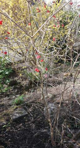 Bild zum Beitrag