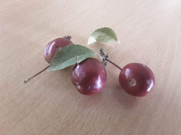 Bild zum Beitrag