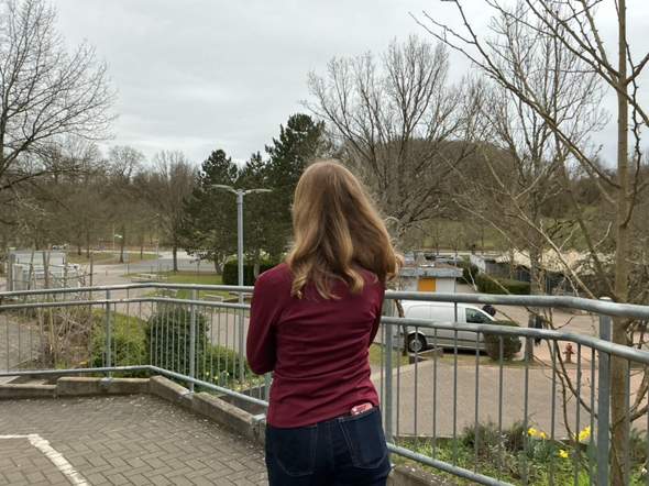 Bild zum Beitrag