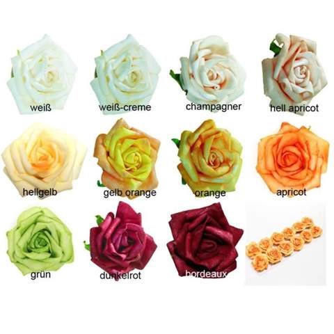 Welche Rosenfarbe findet ihr schön?