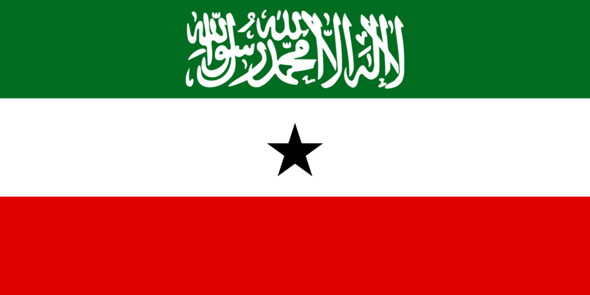 Welche somalische Flagge gefällt euch am besten?