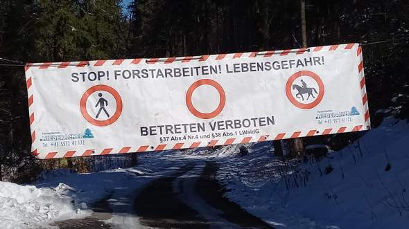 Bild zum Beitrag