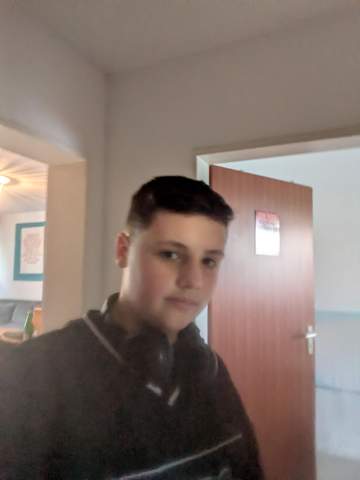 Bild zum Beitrag