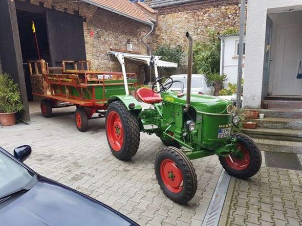Bild zum Beitrag
