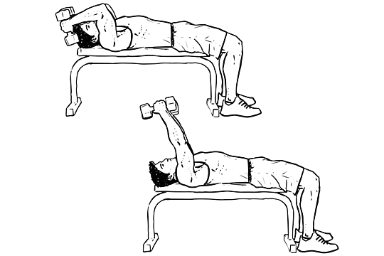Welche Trizeps Ubung Ist Die Bessere Im Bild Sport Jungs Sport Und Fitness