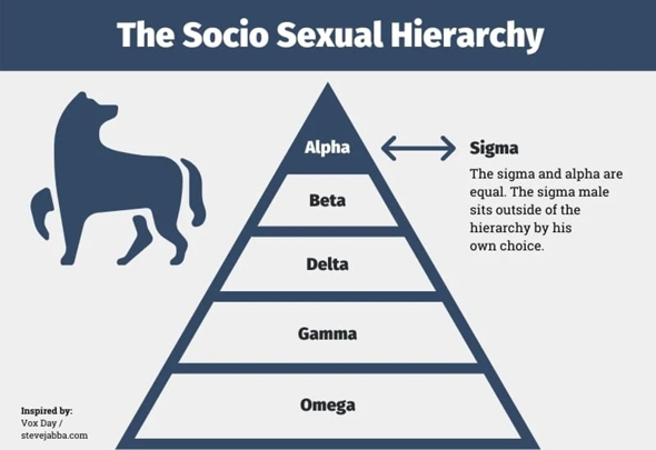 Welchem Typus der Sozio-sexuellen Hierarchie entspricht euer Freund?