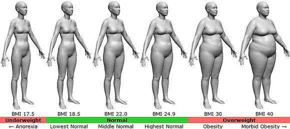 Welchen BMI bevorzugt ihr bei Frauen (siehe Bild als Orientierung)?