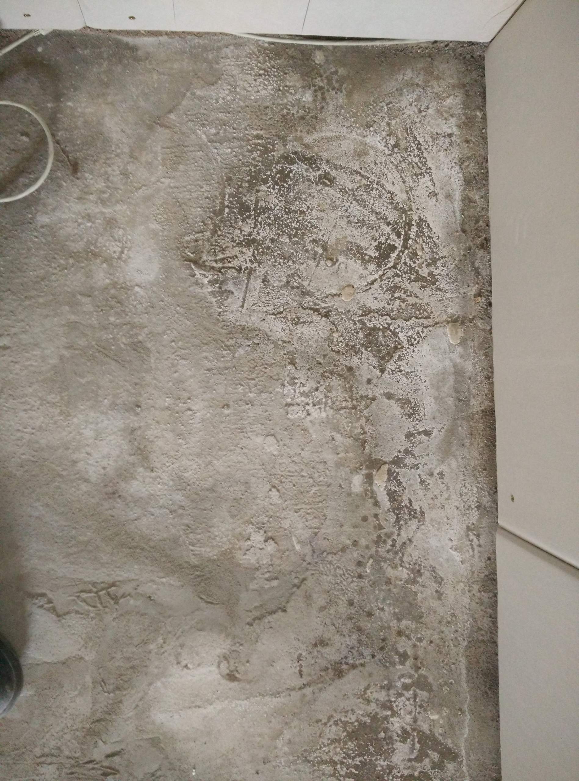 Welchen Bodenbelag legt man bei feuchtem Beton-untergrund am besten