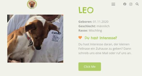 Bild zum Beitrag