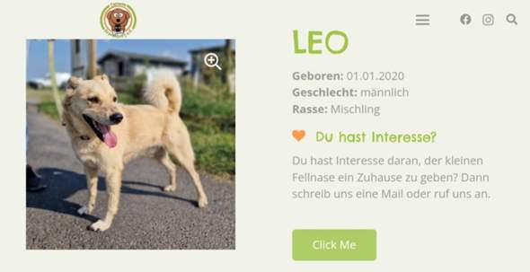 Bild zum Beitrag