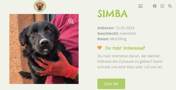 Bild zum Beitrag
