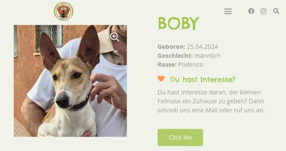 Bild zum Beitrag