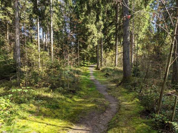 Bild zum Beitrag