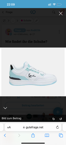 Bild zum Beitrag