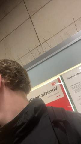 Bild zum Beitrag