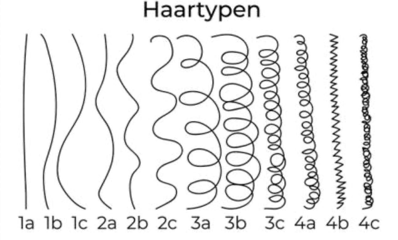 Welchen Haartyp Habt Ihr Frauen M nner Aussehen welchen-haartyp-habt-ihr-frauen-m-nner-aussehen