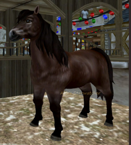 Welchen Islander Soll Ich Mir Kaufen Sso Star Stable Star Stable Online So