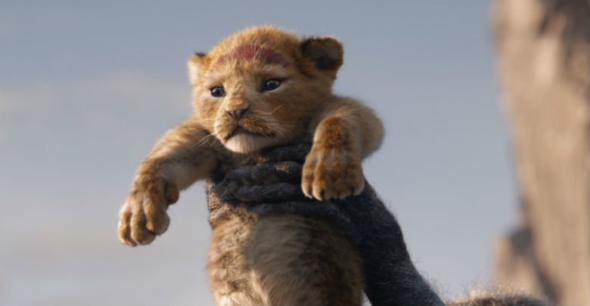 Welchen Lowen Hintergrund Findet Ihr Am Schonsten Umfrage Abstimmung Lowe