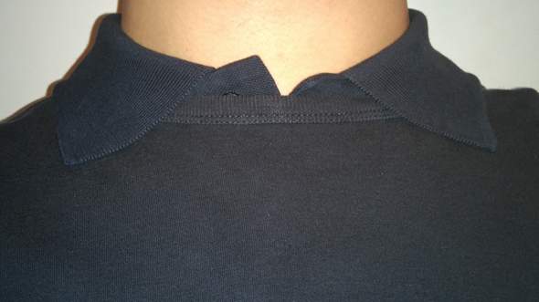 Pullover + Poloshirt mit Kragen drüber (1) - (Umfrage, Kleidung, Mode)