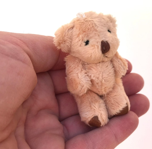 Welchen Teddy findet ihr am niedlichsten?