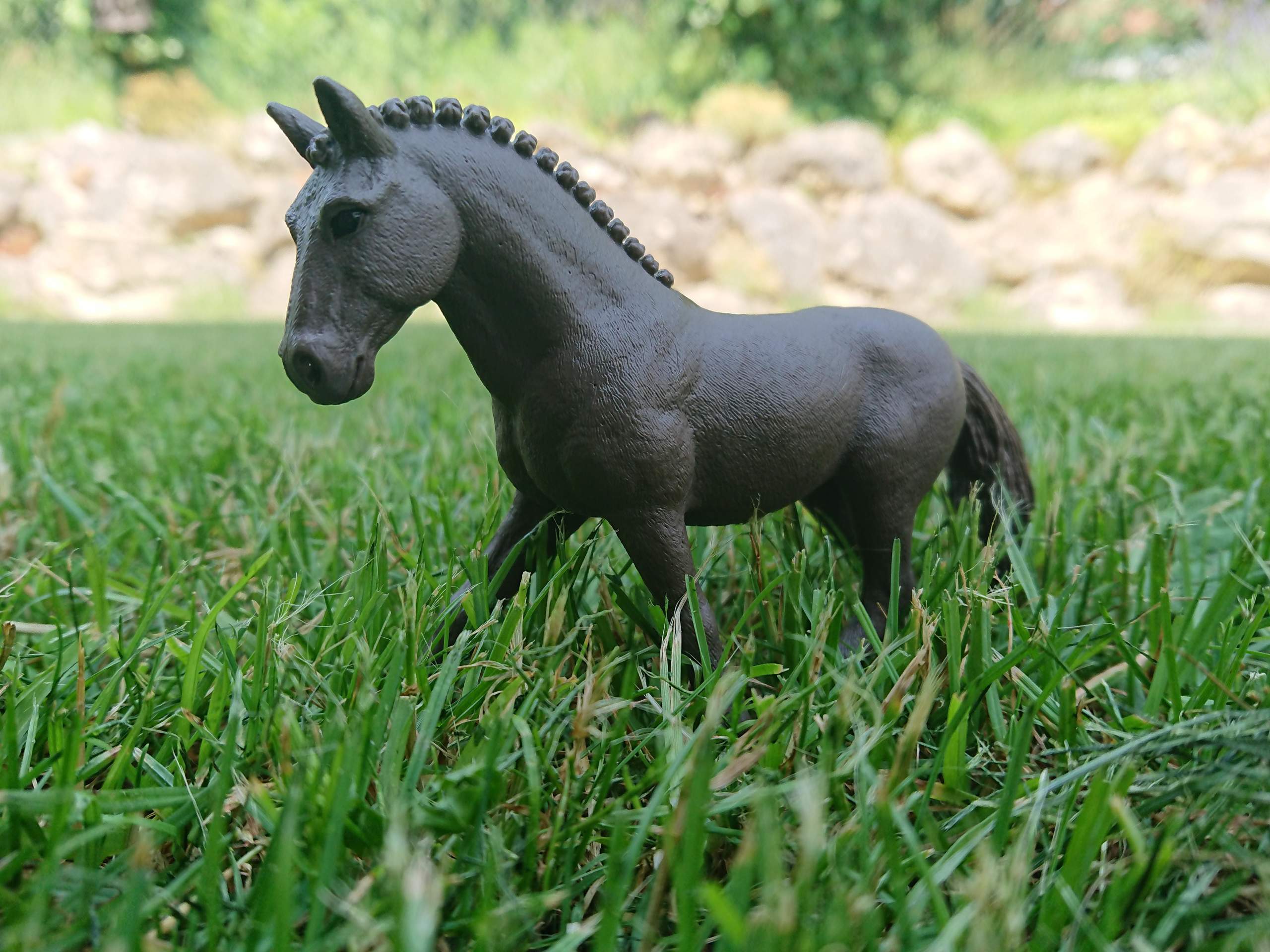 Welcher dieser Namen passt am besten zu diesem Reitpony Wallach? (Name