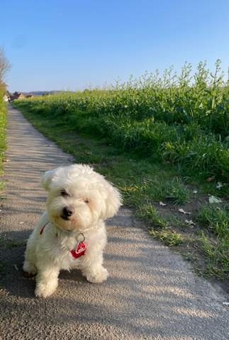 Bild zum Beitrag