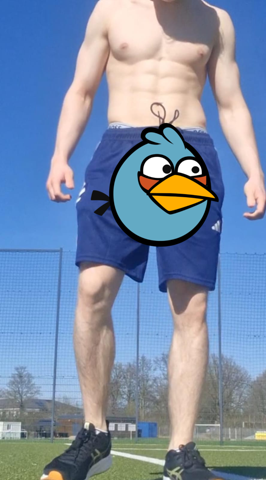 Bild zum Beitrag