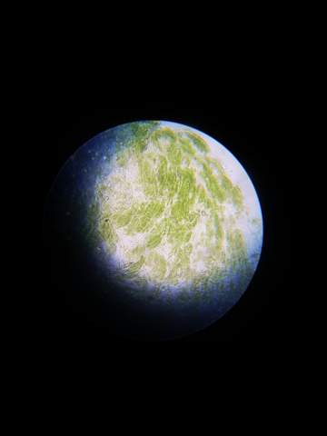 Kennt ihn einer ? - (Erdkunde, Weltall, Planeten)