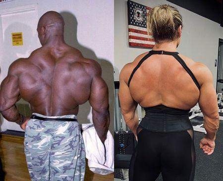 Welcher Rücken ist schöner muskulöser?