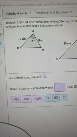 Bild zum Beitrag