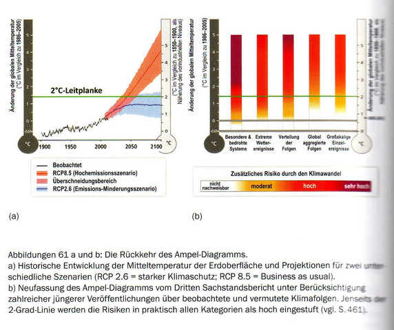 2 Grad Ziel im Buch "Selbstverbrennung" von Hans Joachim Schellnhuber - (Klima, Klimawandel, Treibhauseffekt)