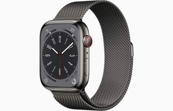 Welches Apple Watch Armband?