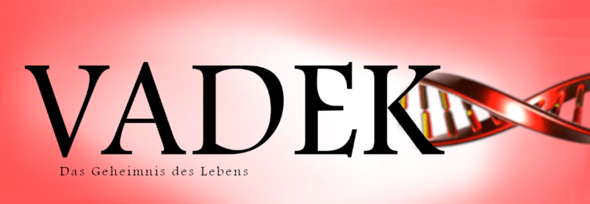 Welches Bild Findet Ihr Besser Bilder Umfrage Abstimmung
