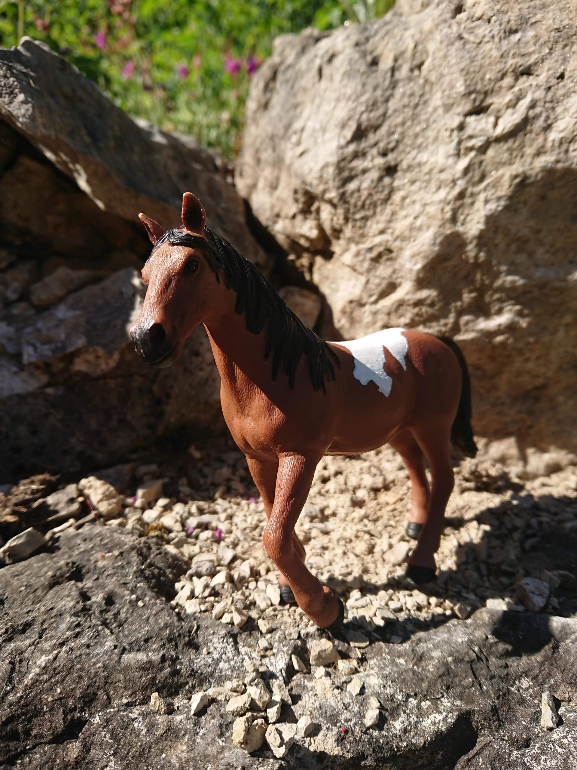 Welches dieser beiden Pferde findet ihr schöner und gute Namen für diese zwei Stuten? (Umfrage