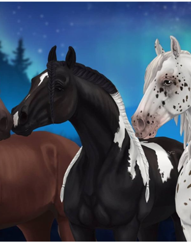 Welches dieser Pferde ist schöner?