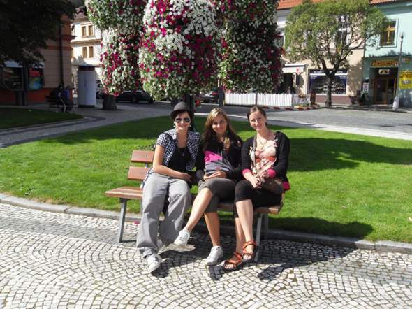 Bild zum Beitrag