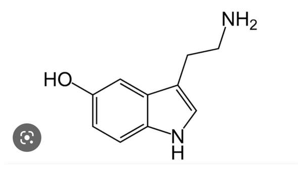 Welches ist die korrekte Strukturformel von Serotonin?