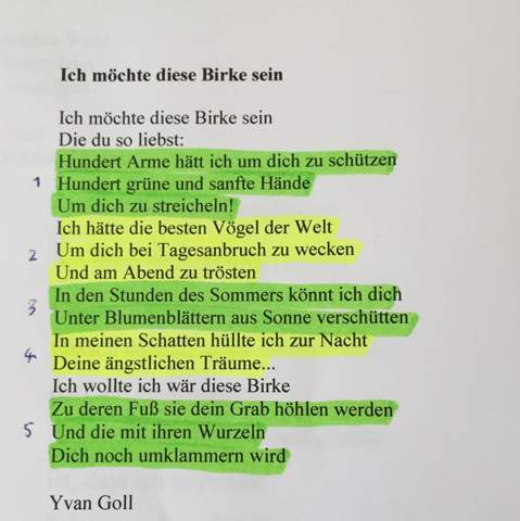 Welches Metrum Liegt Vor? (deutsch, Gedicht, Lyrik)