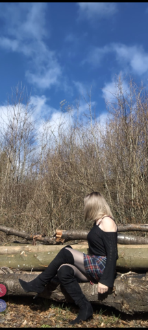 Bild zum Beitrag