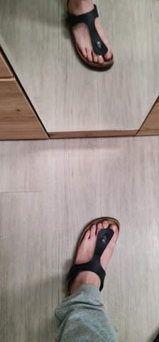 Bild zum Beitrag