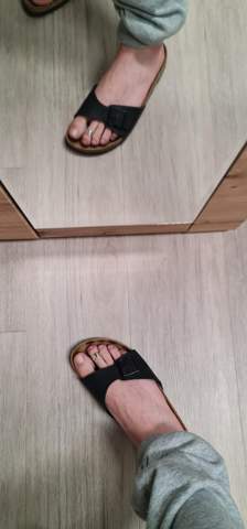 Bild zum Beitrag