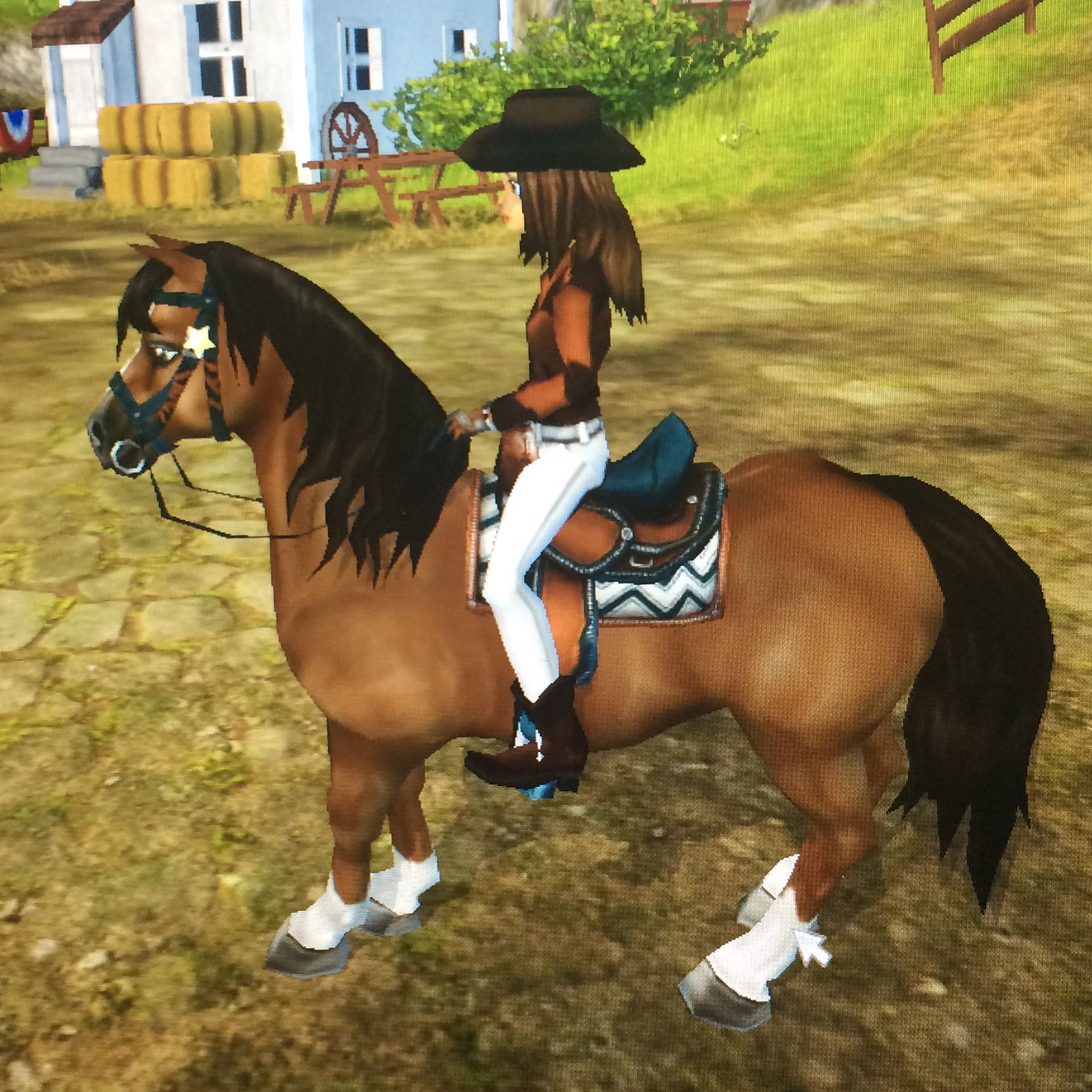 Star Stable Welches Pferd Passt Zu Mir