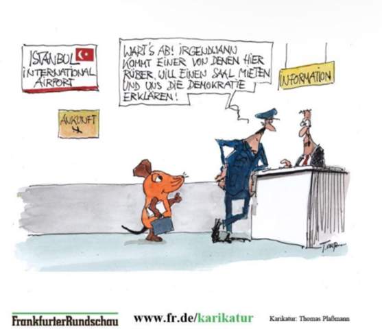 Bild zum Beitrag