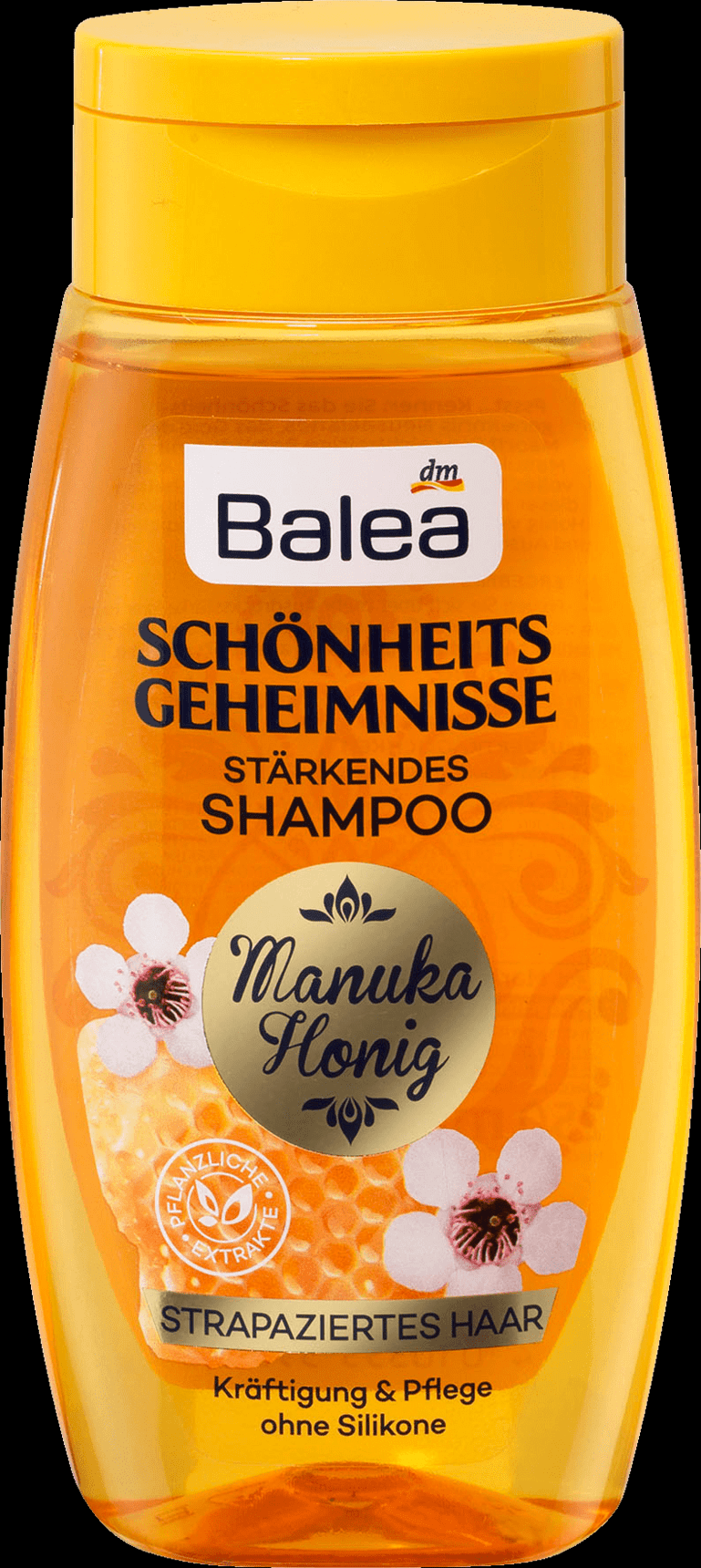 Welches shampoo ist besser und wieviel kosten die? (Haare)