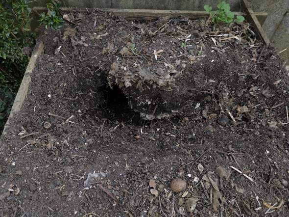 Welches Tier Konnte Diesen Bau Gemacht Haben Tiere Garten Fuchs