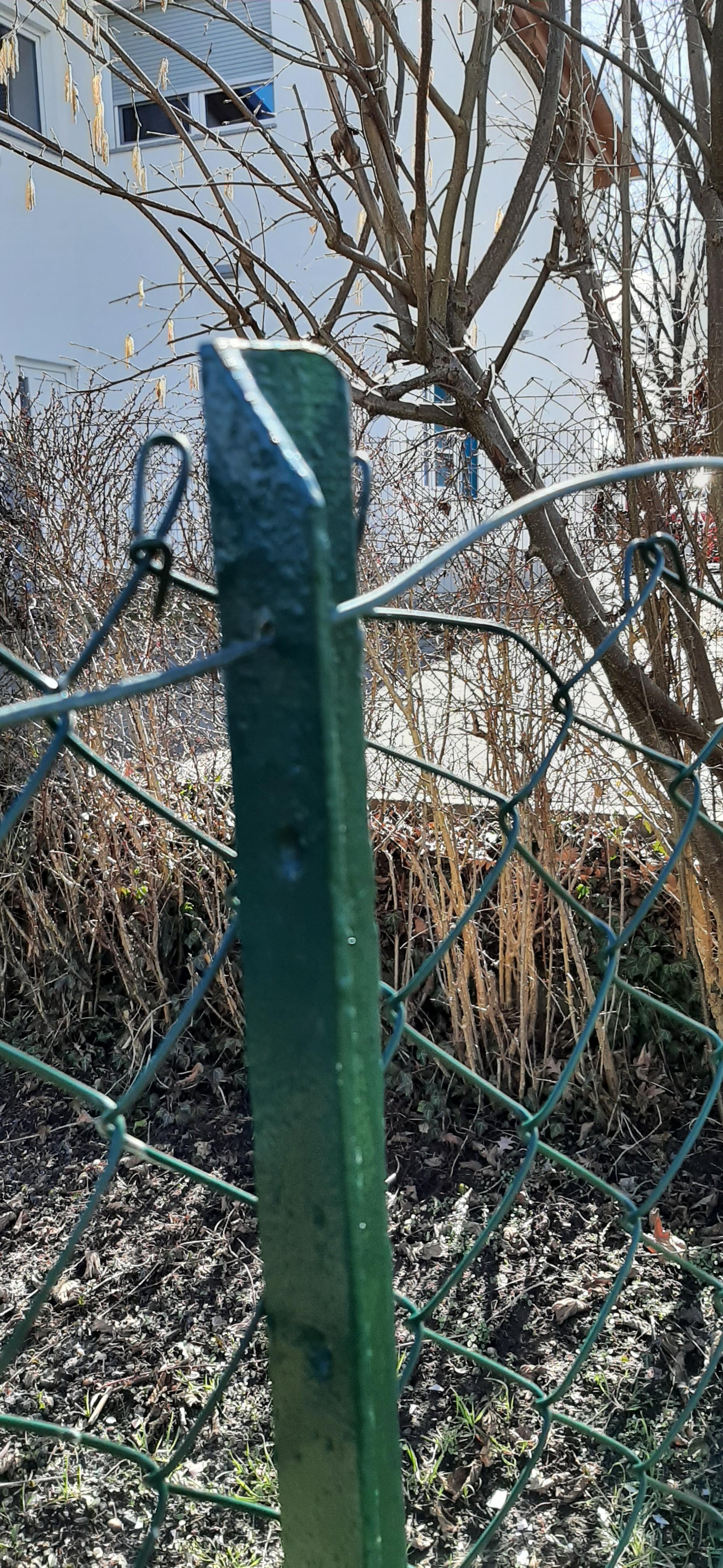 Wem Gehort Der Maschendraht Zaun Recht Garten Handwerker