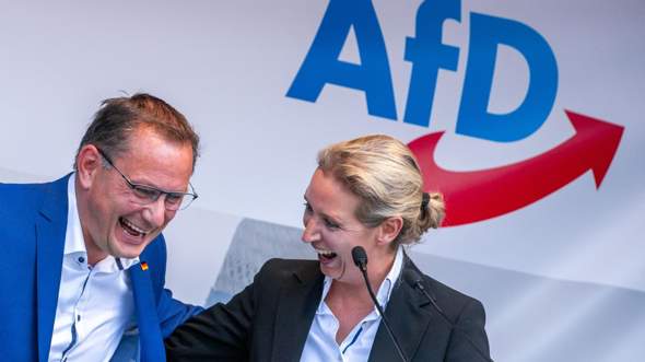 Bild zum Beitrag