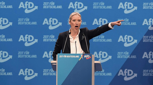 Bild zum Beitrag
